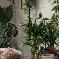 Struggling With Allergies Discover How a 20x25x1 HVAC and Furnace Air Filter for House Use Can Help